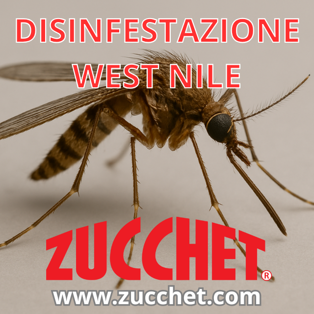 Il virus West Nile è una minaccia reale anche a Roma