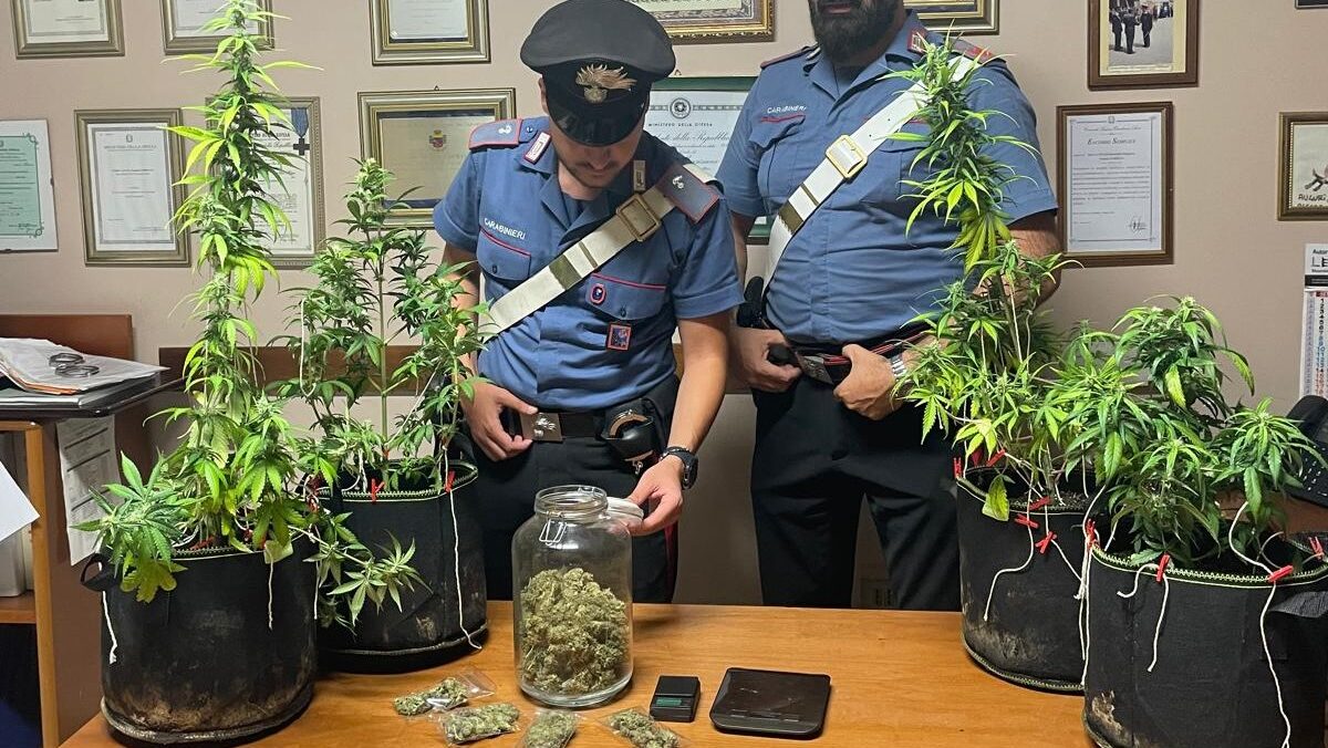 I carabinieri con la marijuana sequestrata nella serra messa su in garage da un 24enne a Fonte Nuova