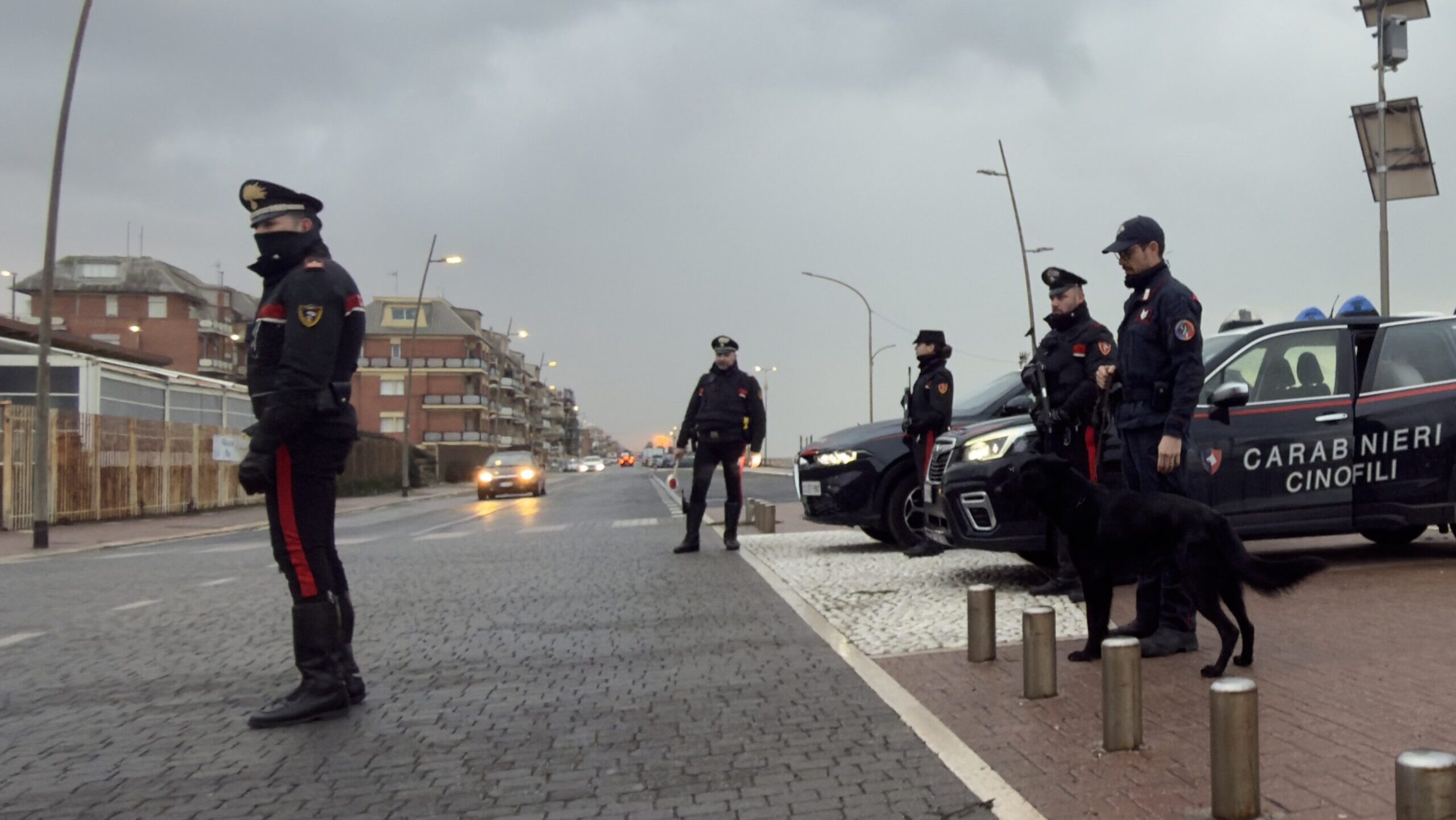 Vasta operazione dei carabinieri ad Ostia con l'ausilio dell'Unità cinofila e degli elicotteri di Pratica di Mare