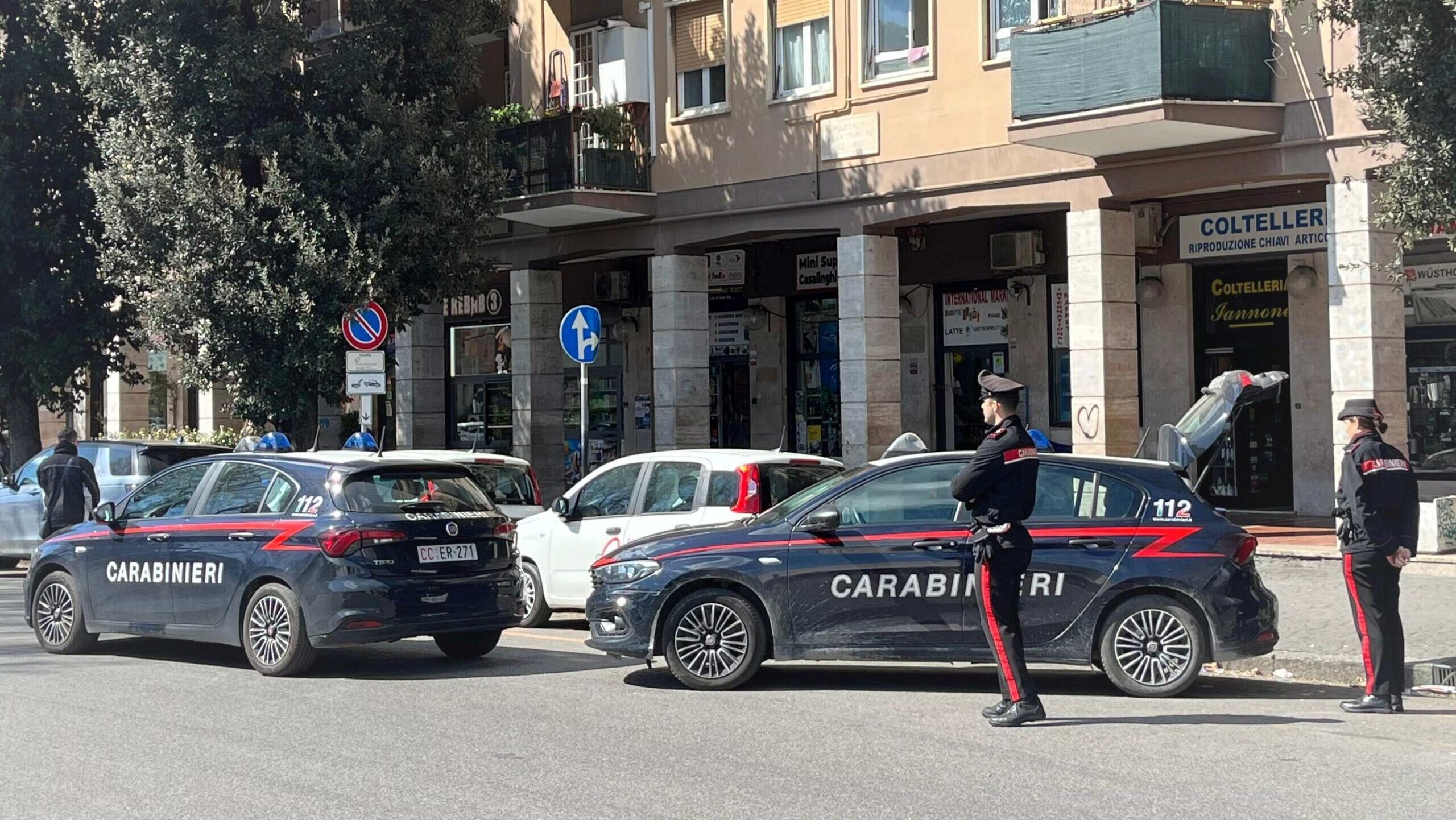 In diverse operazioni di controllo dei carabinieri effettuate ad Ostia sono state arrestate due persone e altre sette sono state denunciate